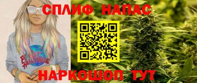 СК Будённовск
