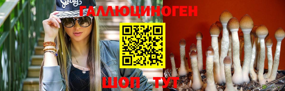 Псилоцибиновые грибы ЛСД Лениногорск