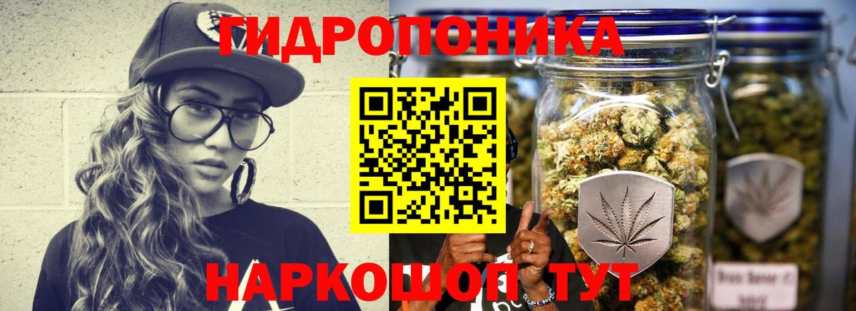 Бошки Шишки тримм Лениногорск